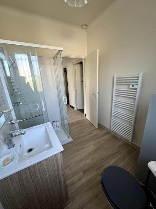 Appartement Sabatier T4 Avec Terrasse Et Jardin Carcassonne Bagian luar foto